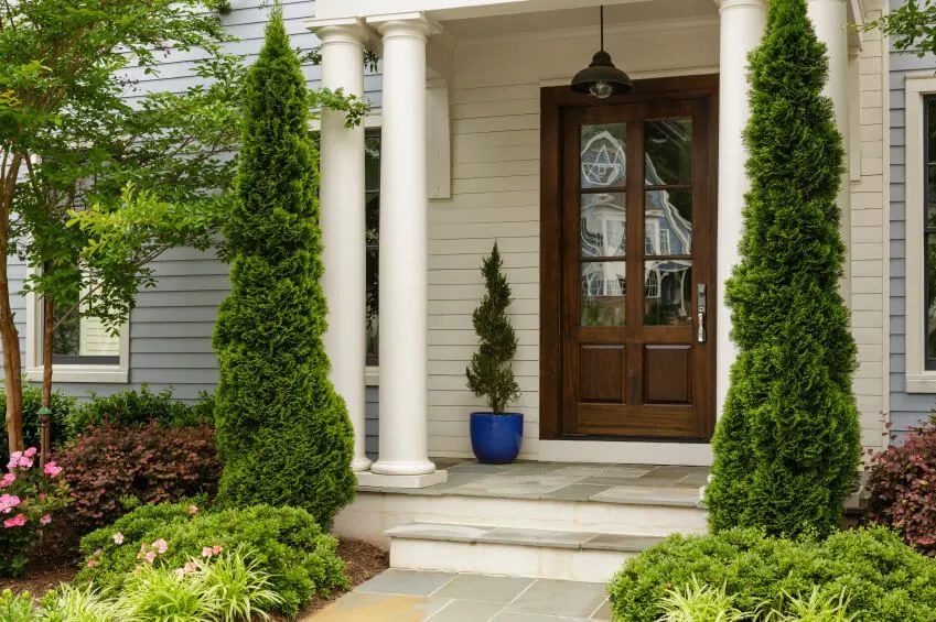 Plants for Home Entrances